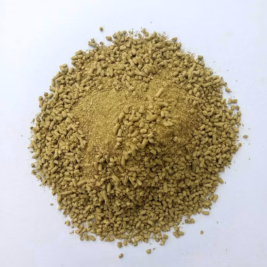 GMP工場 野菊花エキス/菊インディカムL飼料菊花粉